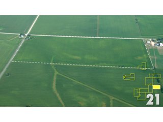 Property photo 75 - Land Auction - 3,379 Acres in 48 Tracts, 2,900 Acres Tillable, Large Contiguous Tracts - Investment Potential